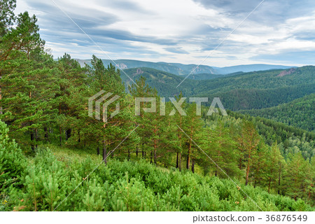 View on Takmakovsky district Reserve Stolby Nature View on Takmakovsky district Reserve Stolby Nature 36876549