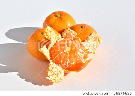 Yamakita橙色 36876656