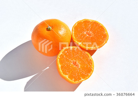 Yamakita orange 36876664