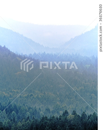 Forest hill hidden im thick mist. Misty landscape 36876680