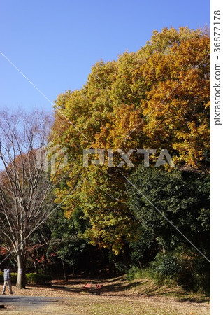 Notsuda Park in December 36877178
