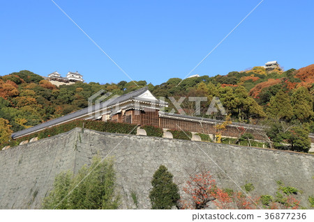 圖庫照片: 四國島 愛媛縣 松山市