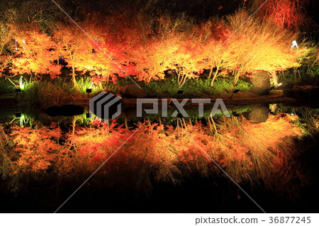 Water Mirror Water Mirror 36877245