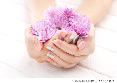 pink manicure with chrysanthemum flowers. spa 36877406