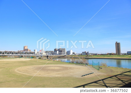 江戶川從Ichikawabashi看到 江戶川從Ichikawabashi看到 36877502