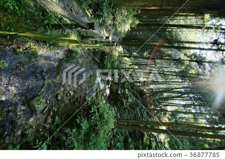 Waterfall of Yakudani River, Yukudani of Moro mountain Waterfall of Yakudani River, Yukudani of Moro mountain 36877785
