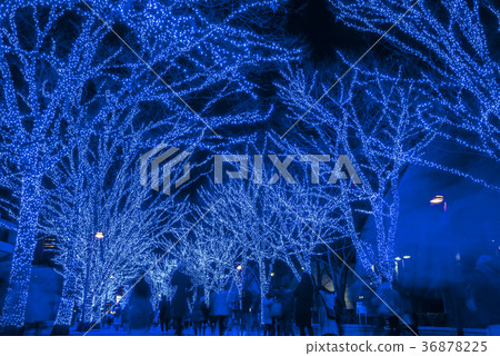 Blue cave SHIBUYA 36878225