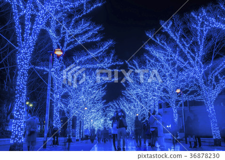 Blue cave SHIBUYA 36878230