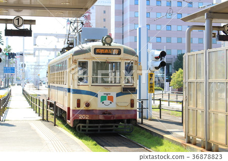 在高知縣高知站前的Toto-Den 在高知縣高知站前的Toto-Den 36878823