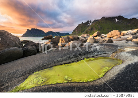 Dramatic sunset over Uttakleiv beach on Lofoten 36879085