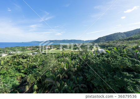 從Satake Yaeyama Yashimu紀念館看的風景 36879536