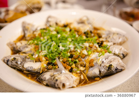  海鮮，海鮮，魚，海鮮，海鮮，魚，海鮮，魚， 36880967