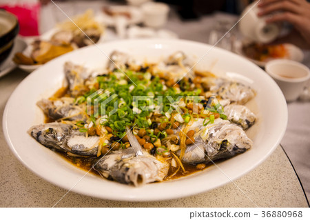 海鮮,海鮮,魚,海鮮,海鮮,魚,海鮮,魚, 海鮮,海鮮,魚,海鮮,海鮮,魚,海鮮,魚, 36880968