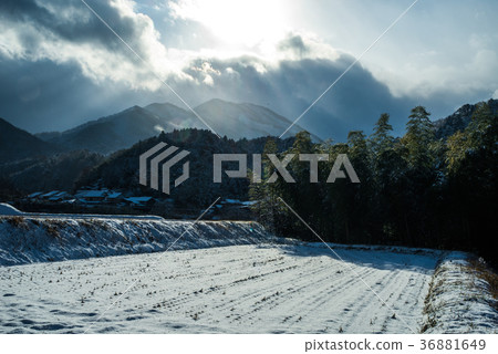Rice fields after snowfall (Oku Izumocho 2017) 36881649