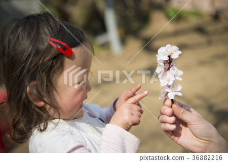 Rejoice girl watching flowers Rejoice girl watching flowers 36882216