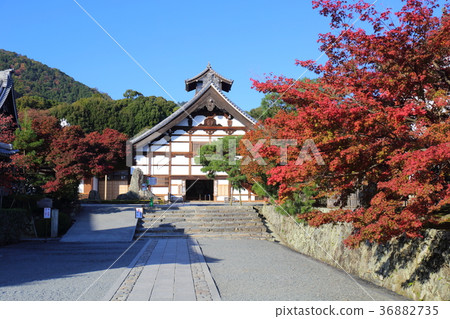 Tenryu-ji Temple in Kyoto autumn Tenryu-ji Temple in Kyoto autumn 36882735