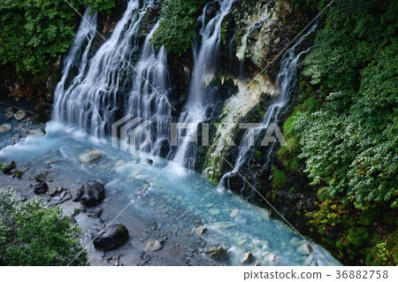 Biei white beard waterfall 36882758