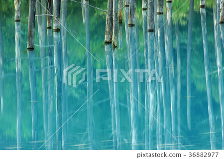 Biei Blue Pond Biei Blue Pond 36882977