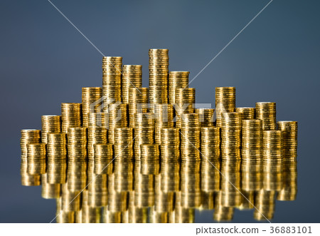 money money 36883101