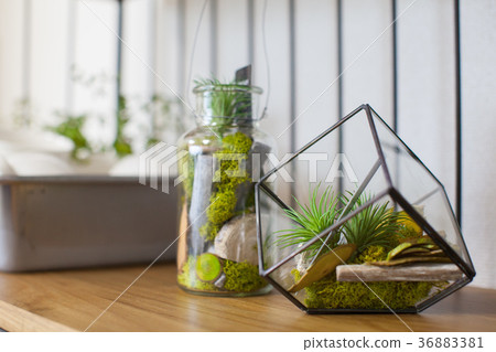 Image of interior Image of interior 36883381
