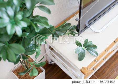 Image of interior 36883408