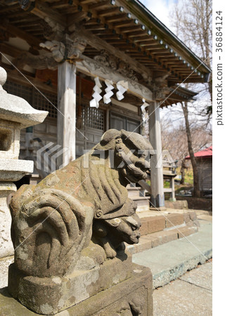 Taking a picture of the scenery of the Suwa Shrine in the Toyohama area of Ayabe-cho, Hokkaido Taking a picture of the scenery of the Suwa Shrine in the Toyohama area of Ayabe-cho, Hokkaido 36884124