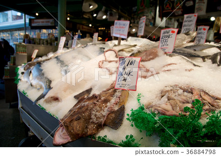 SEATTLE, WASHINGTON, USA - JAN 24th, 2017 SEATTLE, WASHINGTON, USA - JAN 24th, 2017 36884798