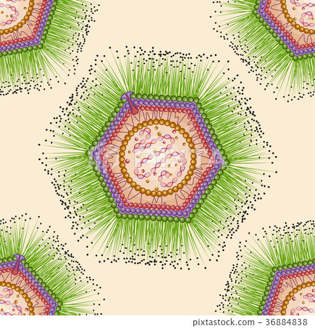 Mimi virus. Seamless pattern. Eps 10. 36884838