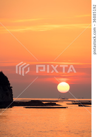 Oysters and sunrise 36885192