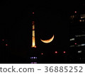 東京鐵塔 36885252