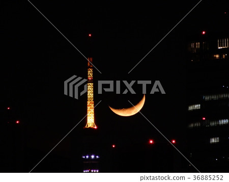 東京鐵塔 東京鐵塔 36885252