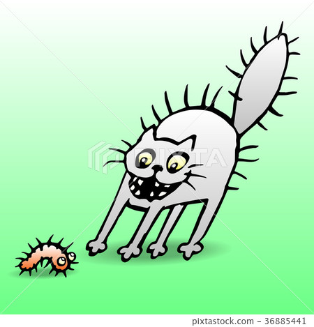 Cat in shock from seeing the caterpillar.  36885441