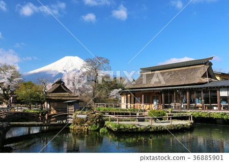 Mt. Fuji from Oshino Hachikai, Yamanashi Prefecture 36885901