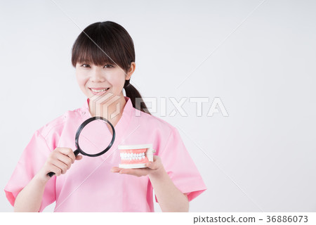牙科衛生師形象 36886073