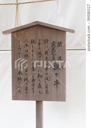 Shrine shrine Shrine shrine 36886327