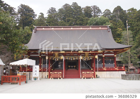 Shrine shrine Shrine shrine 36886329