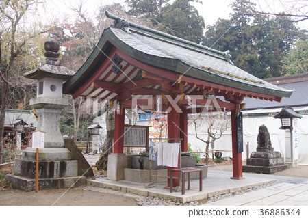 Shrine shrine 36886344