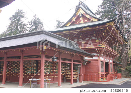 神社靖國神社 36886346