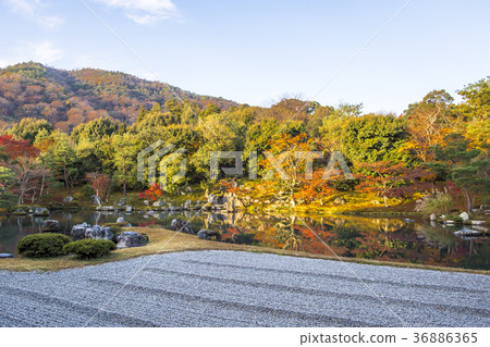 Tenryu Temple in the fall Tenryu Temple in the fall 36886365