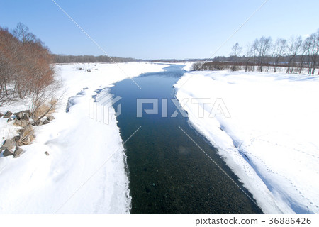 附属于冬天十胜川原 北海道 的动物脚印 图库照片