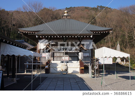 Mikamo Fudoson 36886615