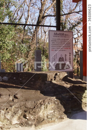 Mikamo Fudoson 36886623