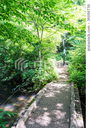 Sunatsu Park Bridge Tsutsujigaoka Senkawa Tokyo Chofu City 36886736