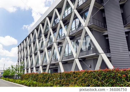 Mayo Terrace Kewpie Alley Tsutsujigaoka Senkawa Tokyo Chofu City 36886750