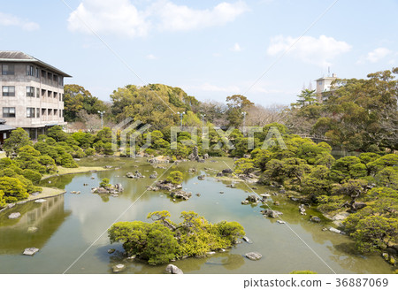 The garden of the former residence of Yanagawa Sakai Main Flower House (Yanagawa City, Fukuoka Prefecture) The garden of the former residence of Yanagawa Sakai Main Flower House (Yanagawa City, Fukuoka Prefecture) 36887069