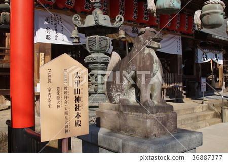 Taiheiyama shrine 36887377