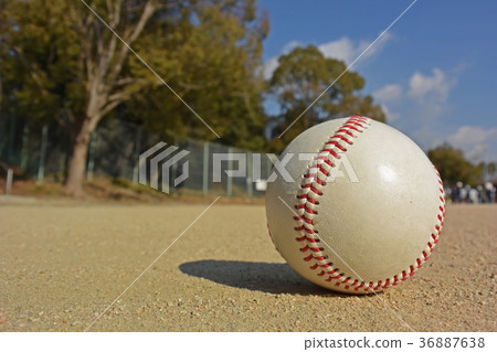 Grass baseball image 36887638