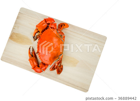 Top view of Scylla serrata. One steamed crab Top view of Scylla serrata. One steamed crab 36889442