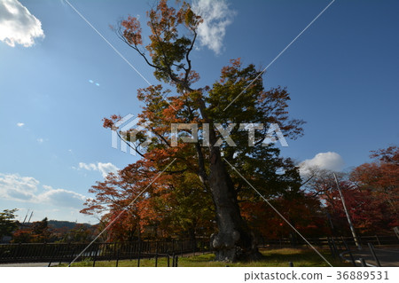 I went to Tanakura Castle Fort # 35 I went to Tanakura Castle Fort # 35 36889531
