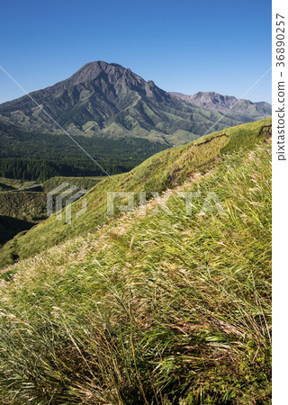 Susukinohara and Mount Aso Takadake 36890257